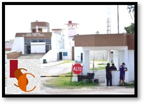 En Campeche, trasladan al penal de Kobén a 5 detenidos por disturbios del 8M.